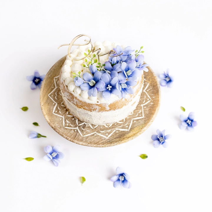 S&eacute;ance photo 1er anniversaire b&eacute;b&eacute; &agrave; Toulouse, smash cake